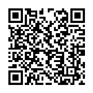 几对穿着白色情侣装的情侣撑着雨伞出现在舞台上二维码生成