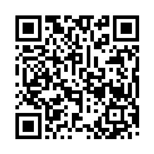 几息后一票宠物还有灵猫儿雪如楼都回到山顶二维码生成