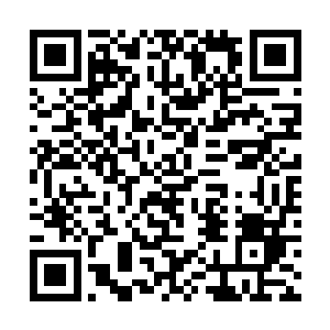 几次实验所需材料虽然是金币能买到的材料占了多数二维码生成