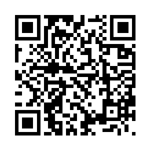 几片娇嫩的叶子由更加细小的叶片组成二维码生成