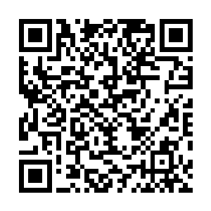 几片金叶子和两张被水泡的湿乎乎的纸张从里面掉了出来二维码生成
