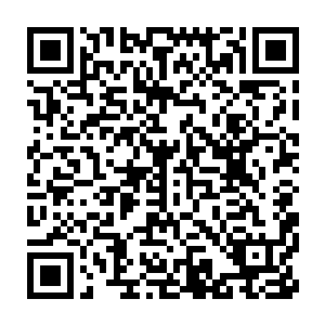 几百个平方的写字间要立刻搭建出能够承接一座青年城的繁忙规模来二维码生成
