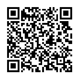 几秒钟嫩芽从土里钻出来长出植株最后开出鲜艳的花朵二维码生成