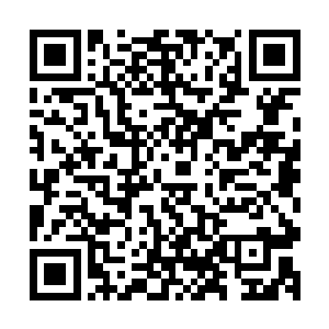 几秒钟的时间基本悄无声息的便将院墙弄出个一米多高的墙洞二维码生成