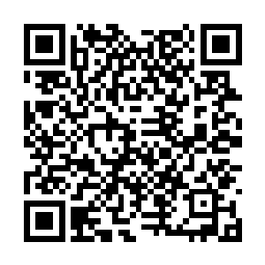 几道不善的眼神从里面射出来像森林中的财狼一样二维码生成