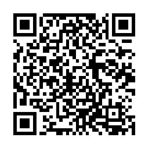 凡事有这种行为的人帮会处置绝对不会因为什么而手下留情二维码生成