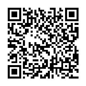 凡庸大师这句话可谓像是一座重山一样压在叶尊的心里二维码生成