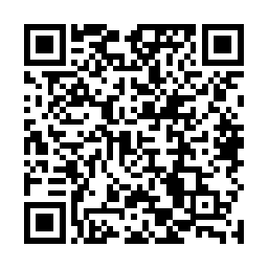 凡是五十岁一下的修士都能够通过拱门进入到院落里面二维码生成