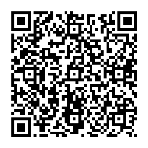 凡是他自己认出或者让指南说明的植物和矿物等都在指南第二条及第三条的页面罗列了出来二维码生成