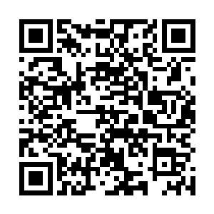 凡是元婴境界能够使用的东西在里面全都能够兑换出来二维码生成