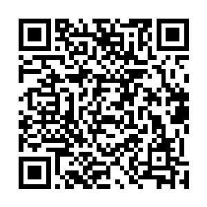 凡是没有拍卖到自己想要拍卖物品的武者难免会有些失望二维码生成