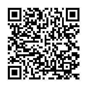 凡是目睹过豺狼捕猎场景的一天之内就甭想有个好胃口吃东西二维码生成