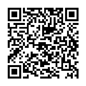 凡是被叶问天筷子指过的墨剑宗弟子全都跪倒在地二维码生成