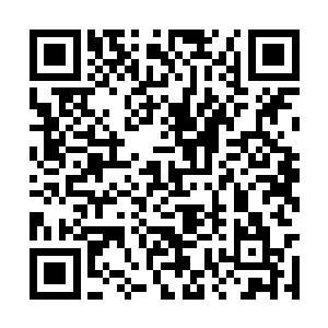 凡是被烟雾打到的牛角虎好似着了魔似的胡乱撕咬二维码生成