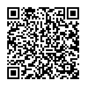 凡是被龙傲天的恐怖的血色巨手拍到的血狱怪物无一例外全都变成了一堆肉酱二维码生成