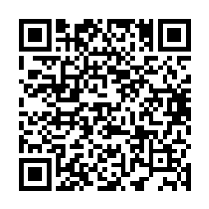 凡是触碰到那恐怖的火焰光幕的剑刃全都被顷刻间焚烧二维码生成