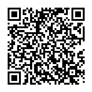 凡是超过十级以上的超级战士就不得滥用自己的能力在生物集聚地进行大量屠戮二维码生成