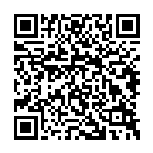 凡界的普通人像是盗墓的不可能进入最核心地带二维码生成