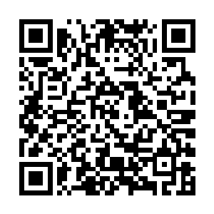 凡间青汉仙朝青制强大无视这种小小传销老鼠会……二维码生成