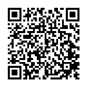 凤之遥十分识趣的以折扇遮住自己的嘴表示不会多嘴二维码生成