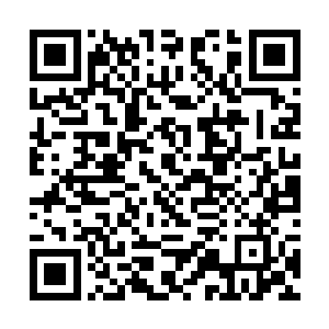 凤之遥等人暗中几乎命人将方圆百里的地方翻了个遍二维码生成
