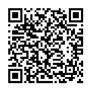 凤九月以及刚刚楚枫来时遇到的那些图腾凤族之人二维码生成