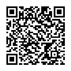 凤凰从来都不是一个喜欢把命运掌握在别人手里的人二维码生成