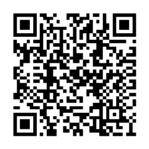 凤凰王者一族却始终珍而重之地口口相传了下来二维码生成