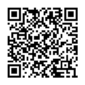 凤凰精血的热量比起凤凰源血不知道强大了多少二维码生成