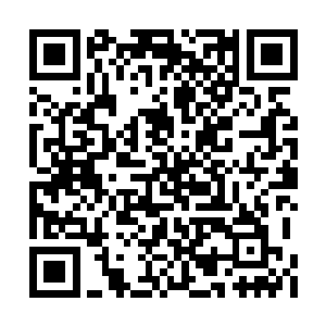 凤君曜冷冷地扫了一眼地上跪着瑟瑟发抖的士兵二维码生成