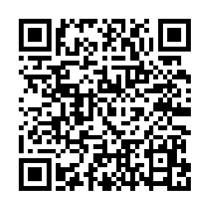 凤君曜别有深意地看着无名老者稍稍变化的脸色二维码生成