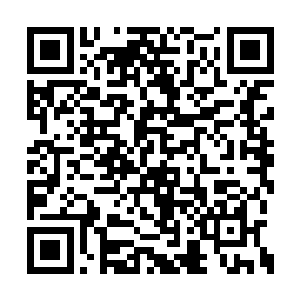 凤君曜古谭般的眸子里没有因为他这番有所波折二维码生成