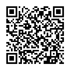 凤君曜快速朝着那团直冲着他们而来的黑气打了一掌二维码生成