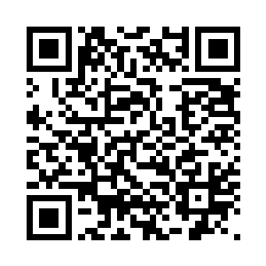 凤君泽便提议众人到观天台去看烟火二维码生成