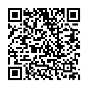 凤君泽想掐掉舒瑾其实真正想针对的人是凤君曜二维码生成