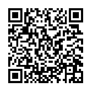 凤君泽是不是将此次调查皇陵失火的案子交给你来办二维码生成