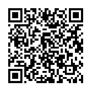 凤家的人想要激活身上的血脉显然几乎就是不可能的二维码生成