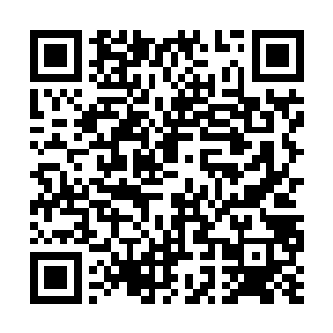 凤家的子弟身上的凤凰一族的血脉也会越来越稀薄二维码生成