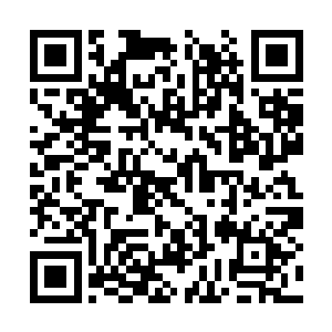 凤家的门房守卫也在看到凤羽珩之后立即冲上前来二维码生成