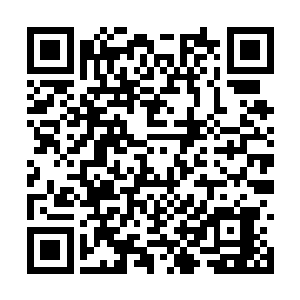 凤小熊乖乖的将布袋里所有的炮弹全部都拿了出来二维码生成