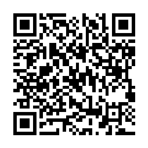 凤小熊将随身携带的成人手掌大小的金算盘拿出来二维码生成