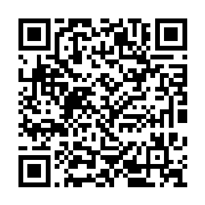 凤惊华他们一行人的住宿吃用开销本少爷全包了二维码生成