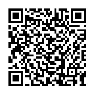 凤火舞两个人的脸上顿时露出了一抹担忧的神情二维码生成