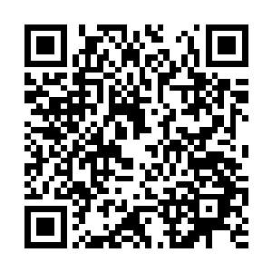 凤火舞也再一次化作一尊恐怖的黑色的巨大的凤凰二维码生成