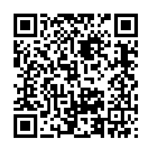 凤火舞的脸上顿时也再一次露出了一抹焦虑的神情二维码生成