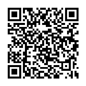 凤瑾元为自己臆想的这一出激动得眼睛都喷了火二维码生成