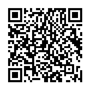 凤瑾元却直到这时才体会到为什么他这二女儿如此喜欢抽人二维码生成