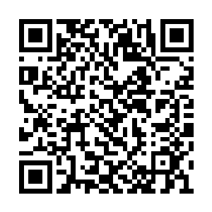 凤箫眼角扫过满眼痛苦却还在死死支撑的李伟虎二维码生成