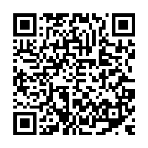 凤羽珩则用孙嬷嬷从大厨房里要来的边角余料自己做起了饭菜二维码生成