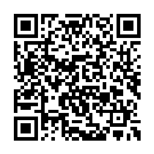 凤羽珩心知这种事情再怎么打点估计也封不住口二维码生成